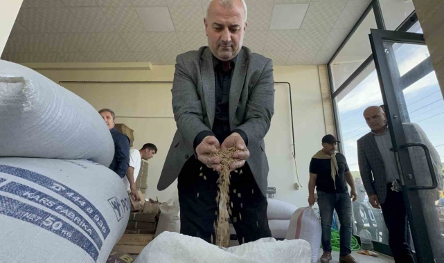 Faydaları saymakla bitmeyen pirinç şöhret yolunda