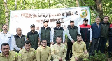 Gal arısına karşı 600 yırtıcı böcek doğaya salındı