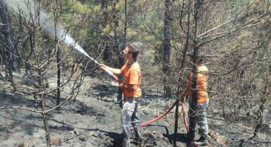 Gazipaşa'da çıkan orman yangınında 1 dönüm alan zarar gördü