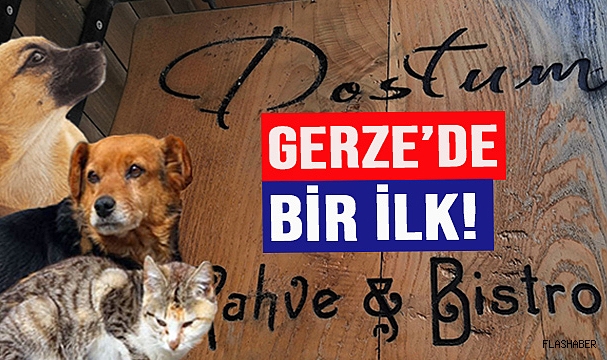 GENÇ İŞLETMECİDEN CAN DOSTU KAMPANYA!