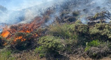 Gümüşhane'de otluk alanda çıkan yangın söndürüldü