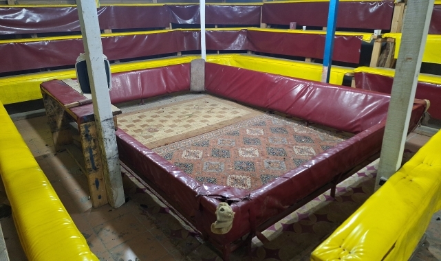 GÜNCELLEME - Samsun'da "Hayvanları Çevreyi ve Doğayı Koruma Derneği"nde horoz dövüştüren 29 kişi yakalandı