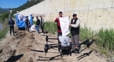 Hanönü'de dron ile çeltik ekimi yapıldı