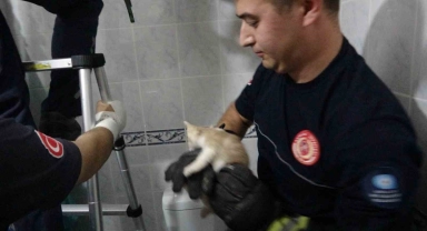 Hastanenin havalandırma boşluğuna düşen yavru kedi itfaiye operasyonuyla kurtarıldı