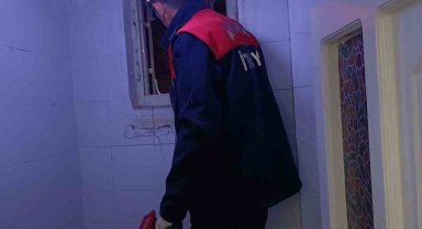 Havalandırma boşluğunda doğum yapan anne kedi ve 3 yavrusu kurtarıldı