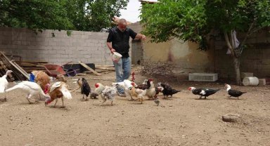 Hayvanat bahçesi değil evinin bahçesi, adeta Ali Baba'nın çiftliği