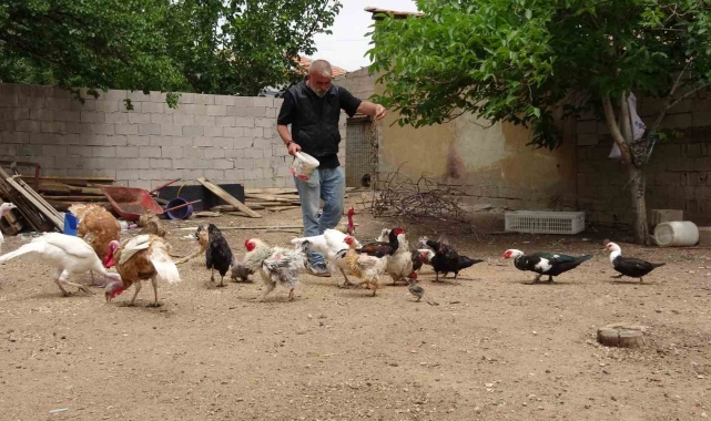 Hayvanat bahçesi değil evinin bahçesi, adeta Ali Baba'nın çiftliği