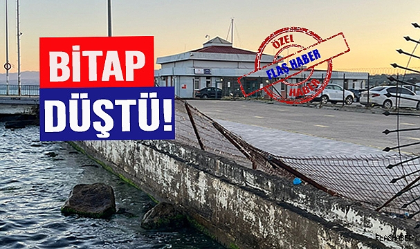 HIRÇIN DALGALARA DAYANAMADI!