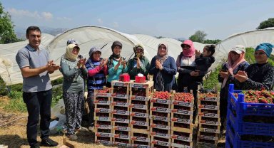 İşçi bayramını meydanda değil, tarlada kutladılar