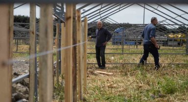 İstanbul'da Kurban bayramı hazırlığı başladı