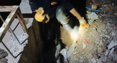 İstinat duvarı arasına sıkışan kedi 2 saatlik çalışmayla kurtarıldı