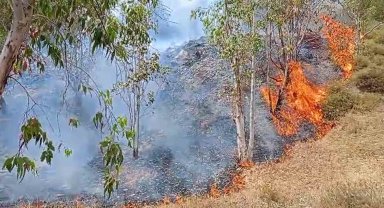 İzmir'de ormanlık alandaki yangın kontrol altında