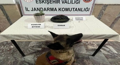Jandarma ekiplerinden 4 ayrı uyuşturucu operasyonu