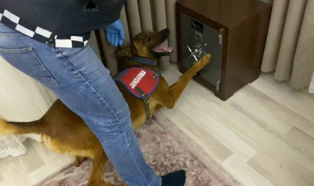 Jandarmadan 1 milyonluk uyuşturucu operasyonu