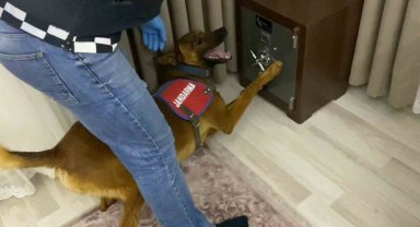 Jandarmadan 1 milyonluk uyuşturucu operasyonu