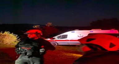 Karabük'te hayvanlarını otlatmaya giden kişi ormanda ölü bulundu