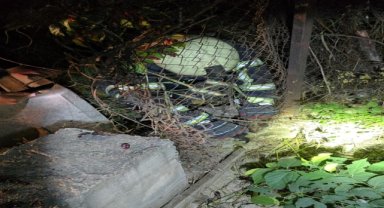 Karabük'te tel örgüye sıkışan sansar yavrusu itfaiye ekiplerince kurtarıldı