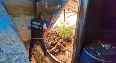 Karaman'da iş yerine kurdukları gizli odada kenevir yetiştiren 2 kişi tutuklandı