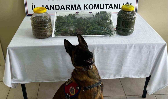 Karaman'da uyuşturucu operasyonu: 1 tutuklama