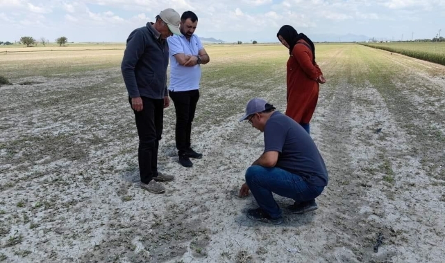 Karapınar'da tarım arazilerinde hasar tespit çalışmaları sürüyor