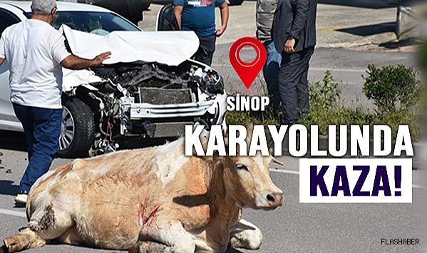 KARAYOLUNA İNEK ÇIKTI!