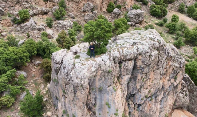 Kayanın üzerindeki ağaç görenlerin dikkatini çekiyor