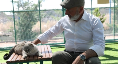 Kayseri'de ilk olan Küçük Dostlar Kedi Kasabası'na bir yılda rekor ziyaret