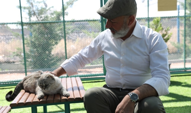 Kayseri'de ilk olan Küçük Dostlar Kedi Kasabası'na bir yılda rekor ziyaret