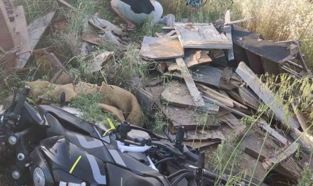 Kazada ağır yaralanan motosiklet sürücüsü yaşam mücadelesini kaybetti