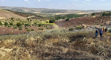 Kilis'te çıkan yangında 15 dönüm alanda ekili buğday kül oldu