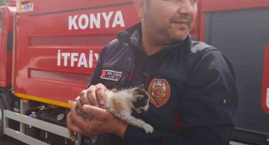 Konya'da otomobilin motoruna sıkışan kedi kurtarıldı