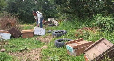 Kovanları parçalandı, arıları telef oldu