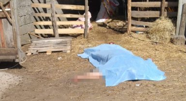 Koyun kırkarken elektrik akımına kapılarak hayatını kaybetti