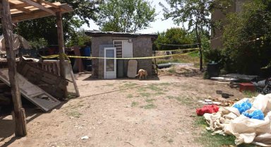 Koyun sayasında öldürüldü