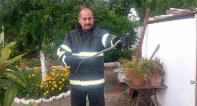 Kümese giren yılan yakalandı