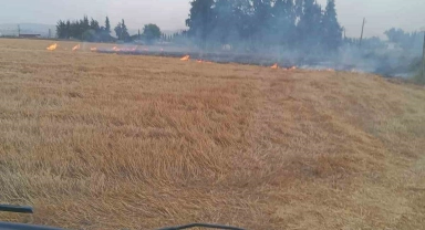 Kumlu'da anız yangını