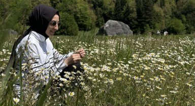 Küre Dağları'na ilkbaharın renkleri hakim oldu