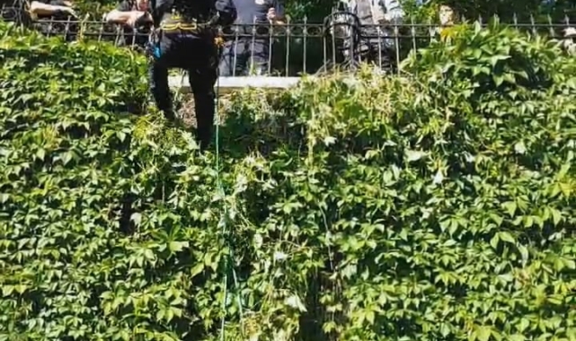 Mahsur kalan kedinin imdadına itfaiye yetişti