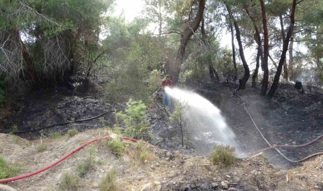 Manavgat'ta orman yangını ucuz atlatıldı