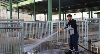 Modern Hayvan Pazarı Kurban Bayramı'na hazırlanıyor