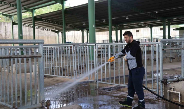 Modern Hayvan Pazarı Kurban Bayramı'na hazırlanıyor
