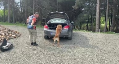 Narkotik dedektör köpeği araca zulalanmış uyuşturucu buldu: 12 gözaltı