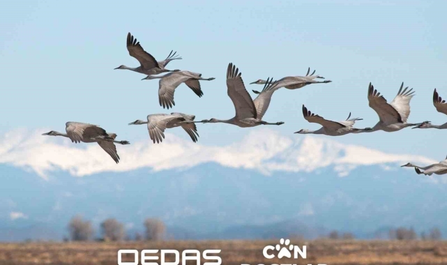 OEDAŞ 'Can Dostlar' projesinin kapsamını genişletti