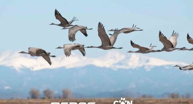 OEDAŞ 'Can Dostlar' projesinin kapsamını genişletti