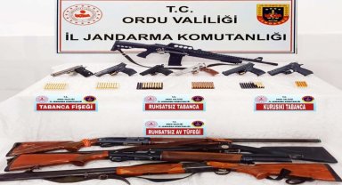 Ordu'da silah kaçakçılığı operasyonunda 1 kişi tutuklandı