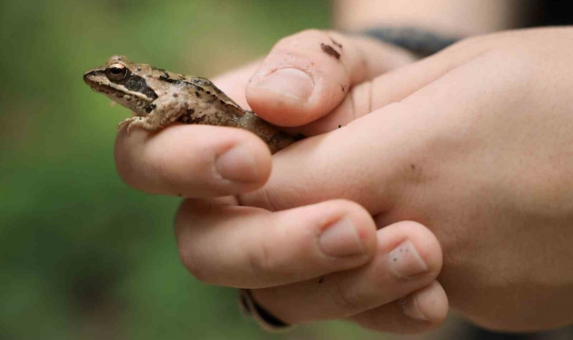 Ormanya'nın zengin biyoçeşitliliği kayıt altına alındı