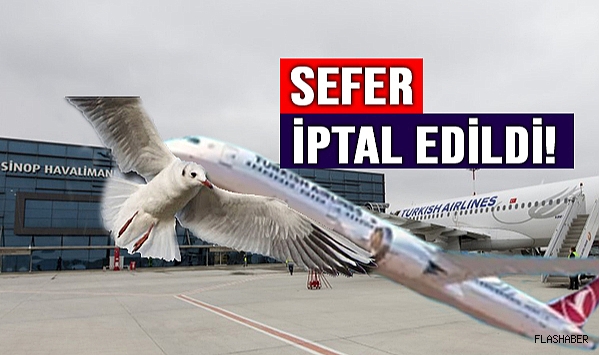 PEKİ NEDEN?