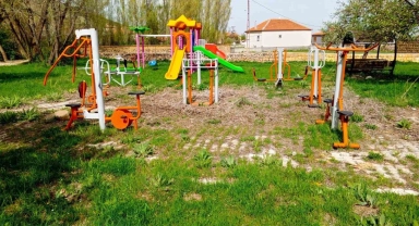 Pınarbaşı'nda başıboş köpekler toplanacak