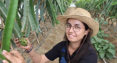 Plaza hayatını bıraktı huzuru tarımda buldu