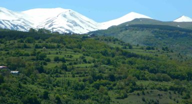 Posof'ta bahar görsel şölene dönüştü